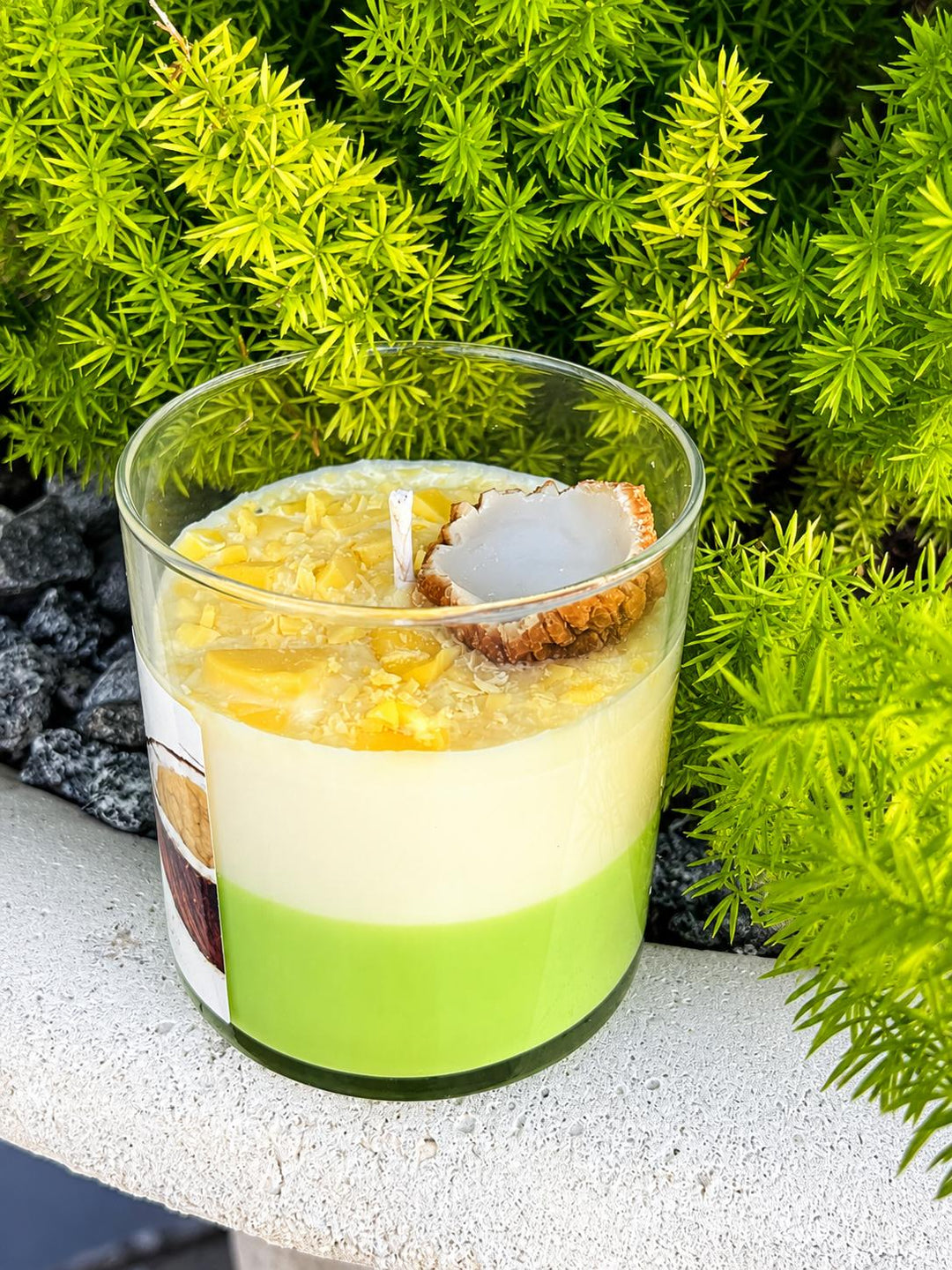 Cayo Coco/ Vela de Mango y Coco